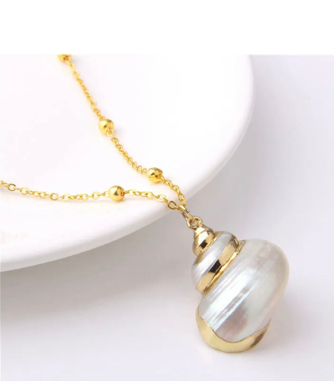 Summer White Sea Shell Pendant Necklace